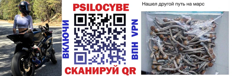 Псилоцибиновые грибы Cubensis  Оленегорск 